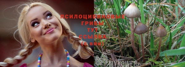 кокаин премиум Богородицк