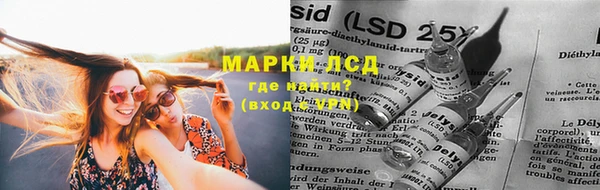 гидропоника Богданович