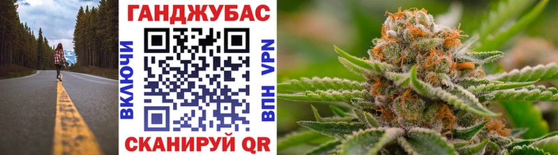 Канабис сатива Королёв